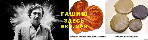 МДПВ Абаза